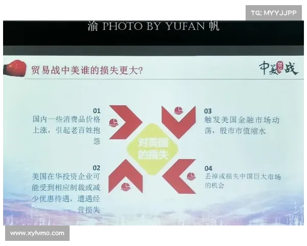 三界危机下的应对之策:四种策略详解与应对路径探索 三界危机下的应对之策:四种策略详解与应对路径探索