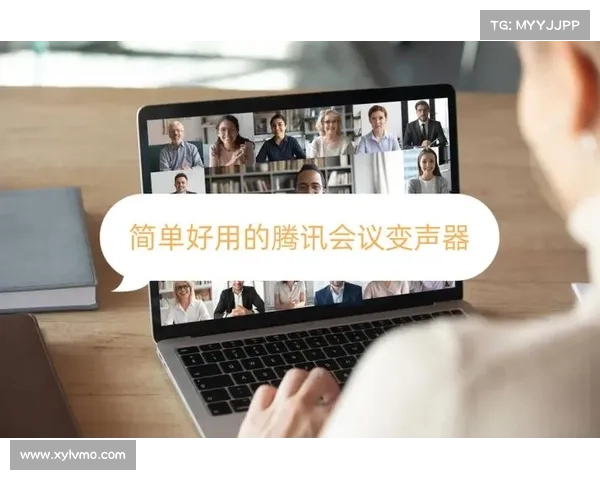 MorphVox Pro十大语音变换功能全面解析及使用技巧指南 MorphVox Pro十大语音变换功能全面解析及使用技巧指南