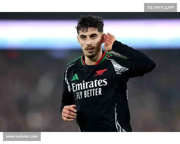 哈弗茨点球被判无效的原因引发热议裁判判罚是否公正成焦点