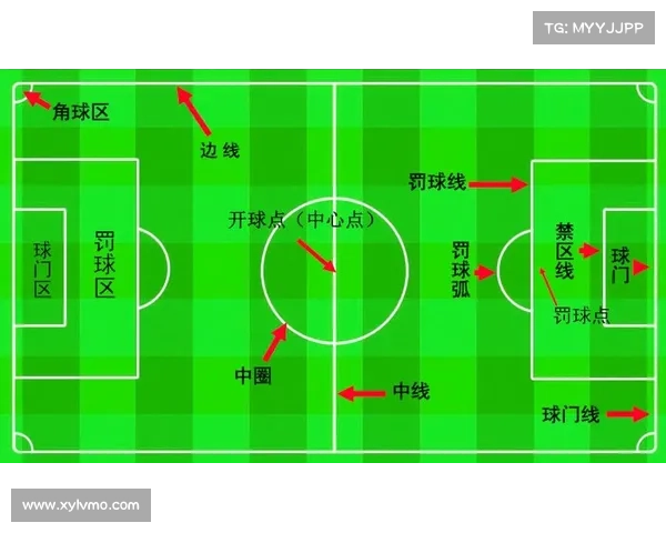 张伯伦场上踢球位置全解析从边锋到中场多角色全面指南