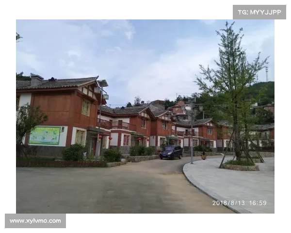 全面深度解读欧国联赛运作机制的原理框架与层级结构详细解析全貌